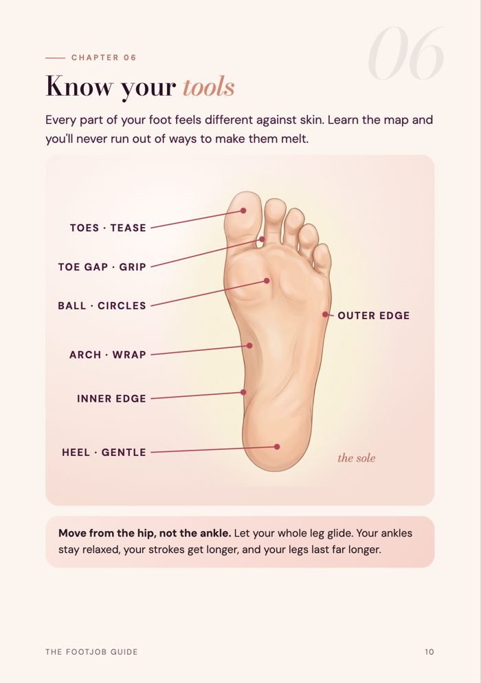 Know your tools: a map of the foot
